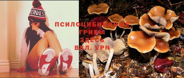 мет Вяземский